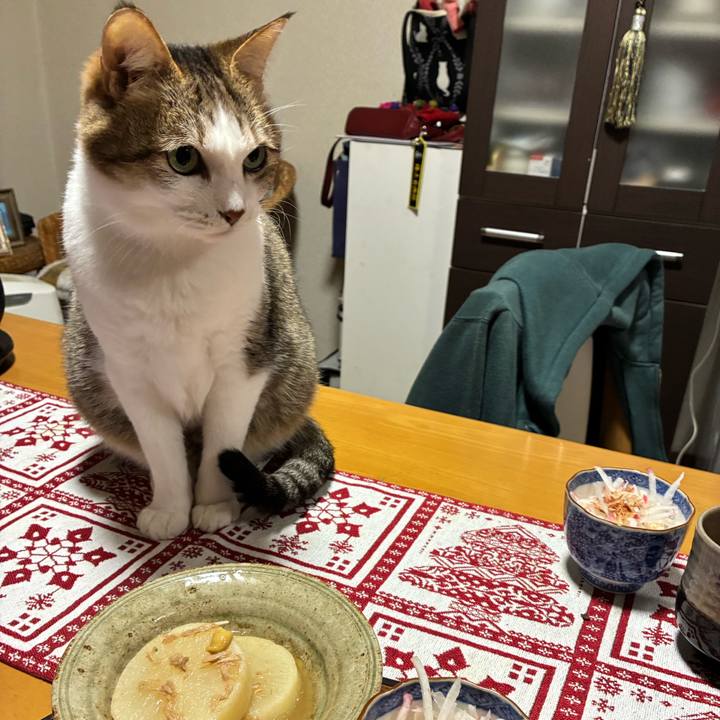 9b3cd094 aad6 48e6 80db 55a4f55b1e70 1765783624717