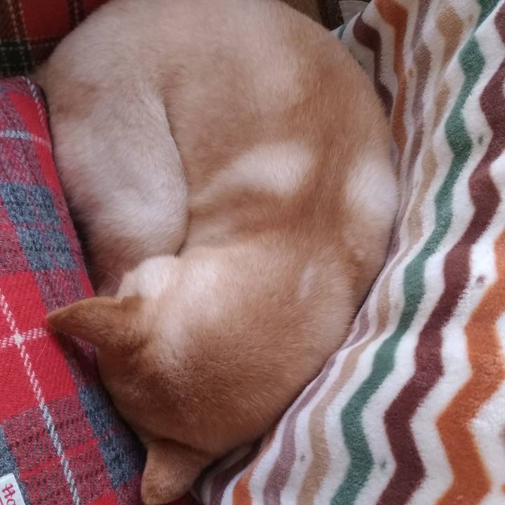 9b3d390f c1f1 4296 b4a5 1d1a10763653 1550619835217