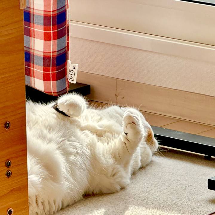 9b3d423f b7cd 44bd 9d81 3c856b92f10c 1708821465159