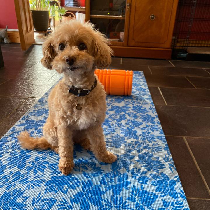 9b3d6428 b487 4c54 8527 7e270f4b1e8b 1638784284931