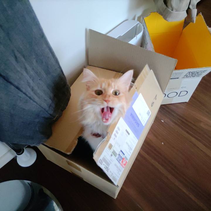 9b3da24a aab8 44c4 bfc2 b4c430b6c86a 1691198253067