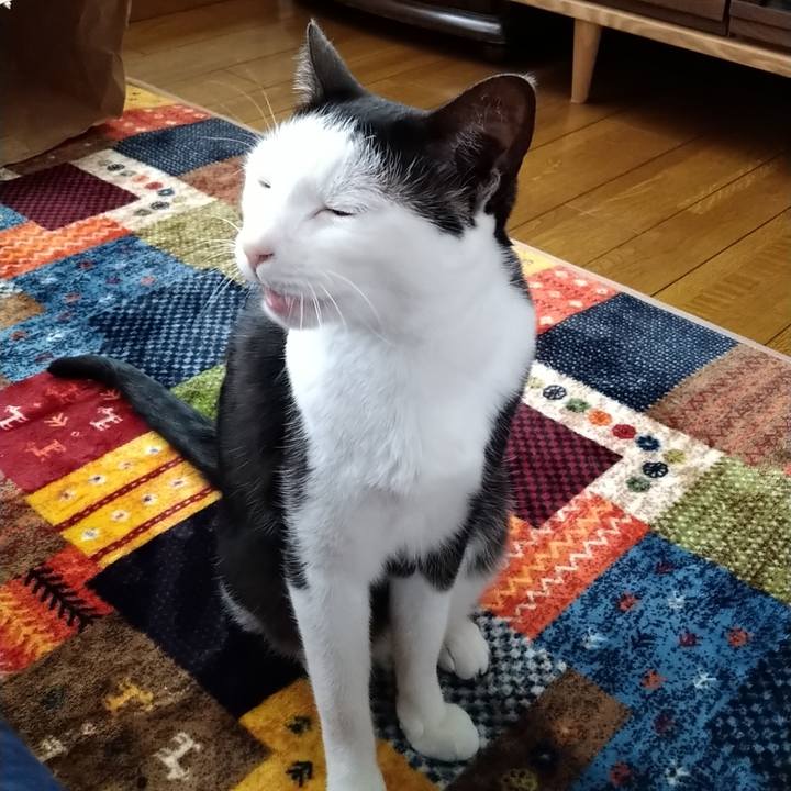 9b3da5e5 74b2 4b6a 9520 4ad5c3d2ba78 1590128796230