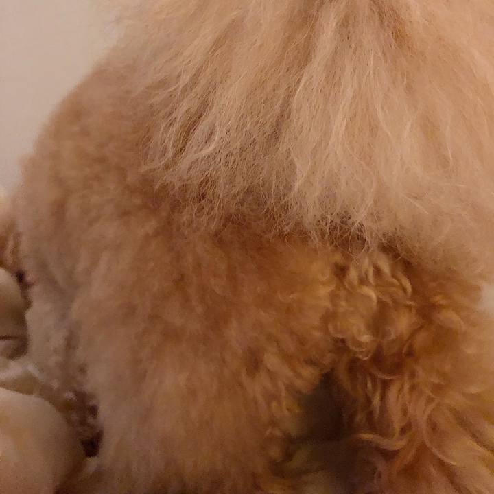 9b3dbed4 0c59 4d26 88af 1ac593c767a6 1533429941333