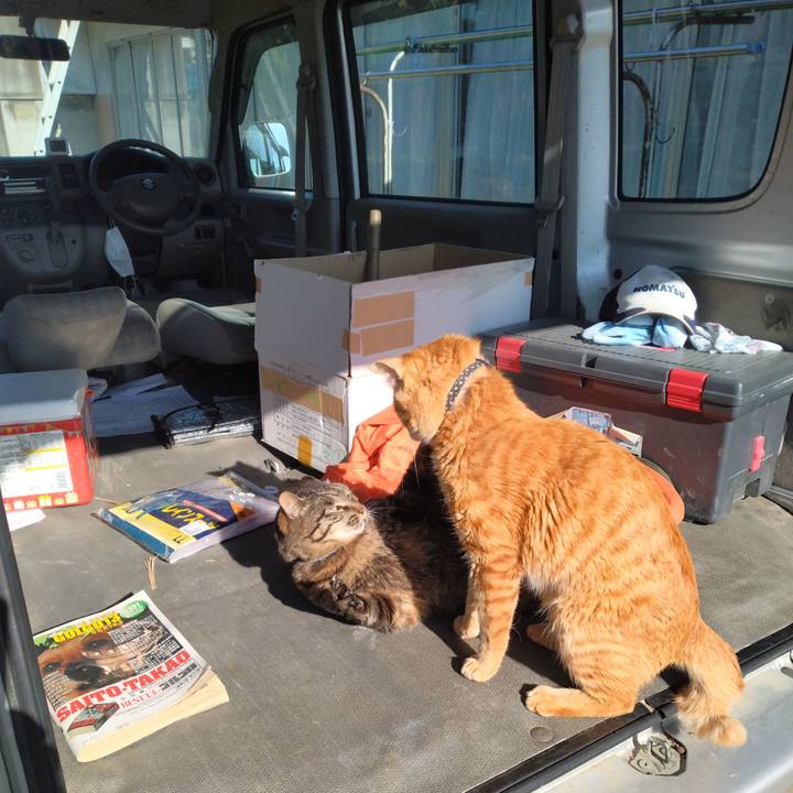 9b3dcdbc 9dfe 40a3 94c7 f37139123e9a 1683845509589