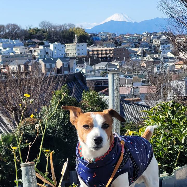 9b3e0465 d6d1 4534 bd11 ed71044d395d 1704082372909