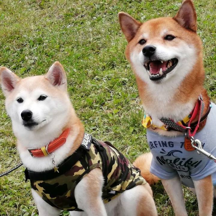 9b3e3dad c5b1 4b87 87c0 d3bc202866ca 1602430624785