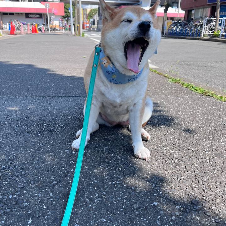 9b3e530e c07b 492e 9920 a8dec9bdbce7 1721615549060