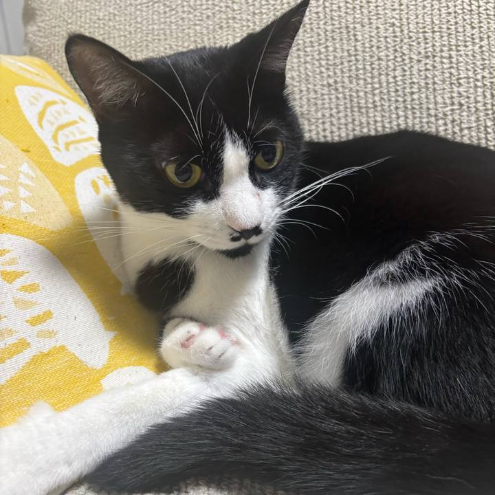 9b3eaa43 4c19 4fdb 8e71 85c5d18ce036 1762049863654