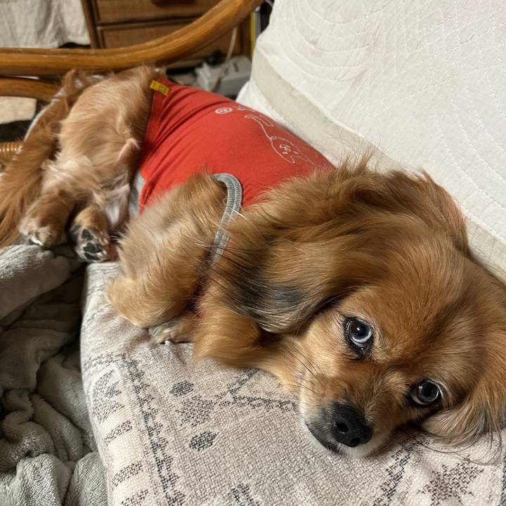 9b3ee187 b57b 42b4 a40c ef025670ba9a 1740950480032