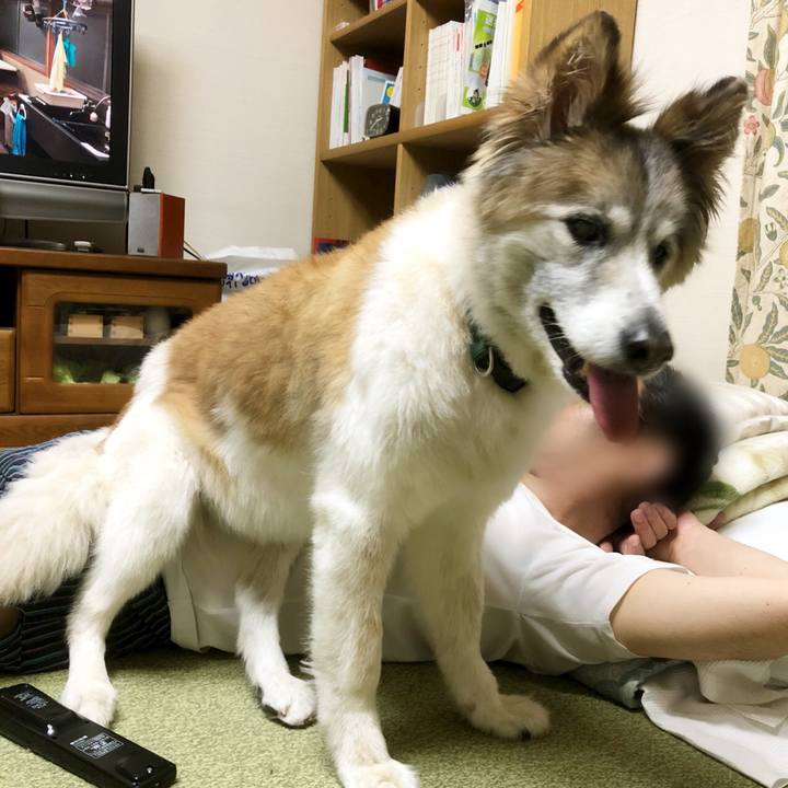 9b3f0f1e 8a69 433a b6da 75bb16941ecf 1536070940095