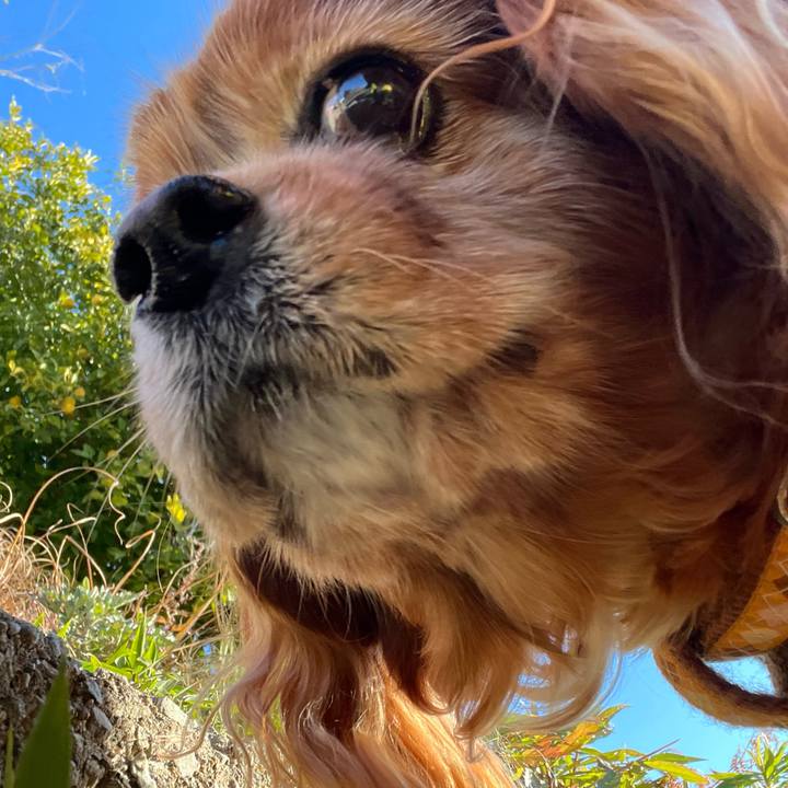 9b3f1476 57a5 4564 8937 d8a08f79b9ae 1769646481549