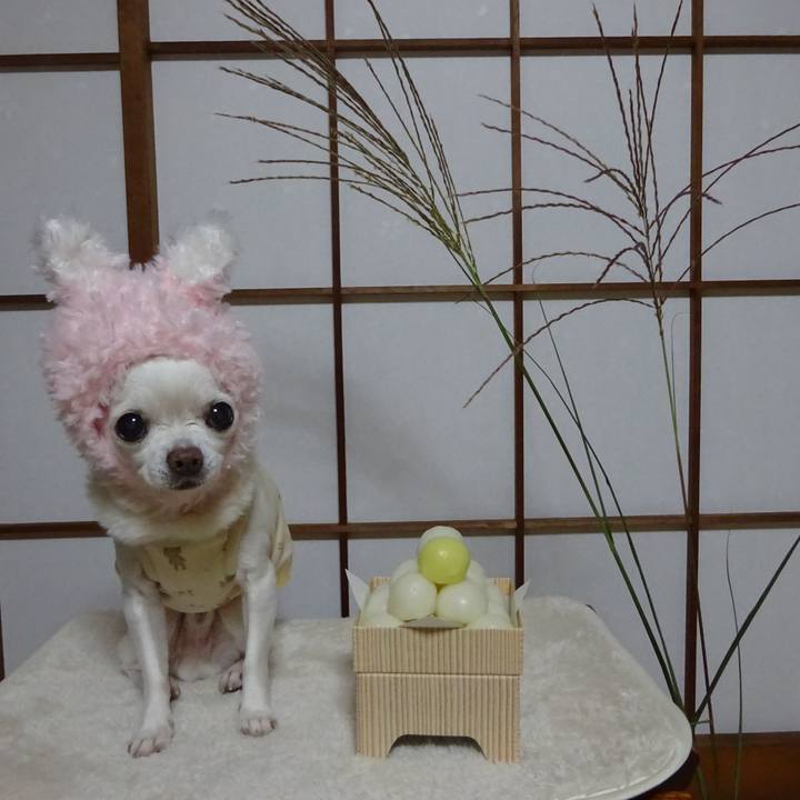 9b3f5c65 6216 4c4f 9f8e 3e12cfdf2ea8 1601481329315