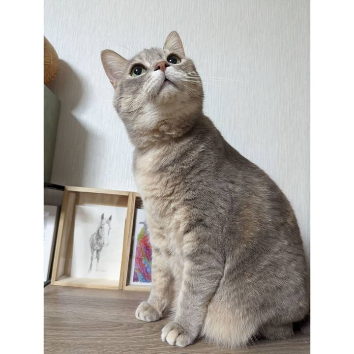 9b3f6315 4b33 42a3 8c1c 0f6fb744a4f9 1701588562781