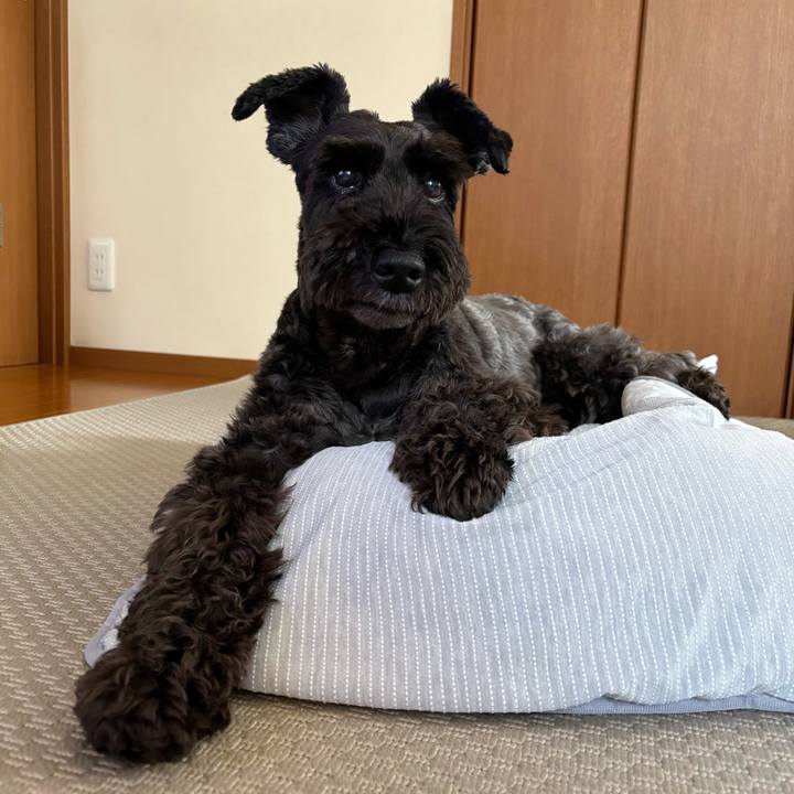 9b3f7069 0540 4b62 abb1 1560d6074a86 1755991647537