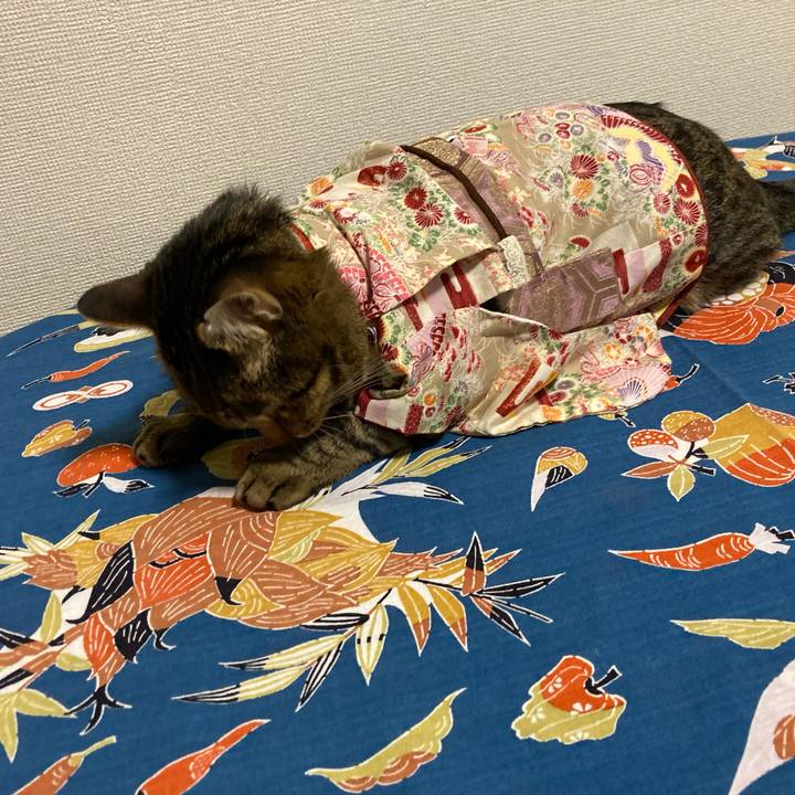 9b3fa7dc 55e8 4823 aa40 0b8c2282bf94 1638086332094