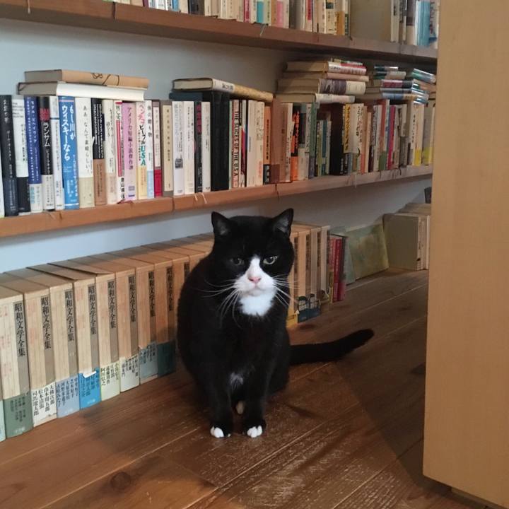 9b3faa89 2213 4f53 bd94 46b767318d62 1551659139665