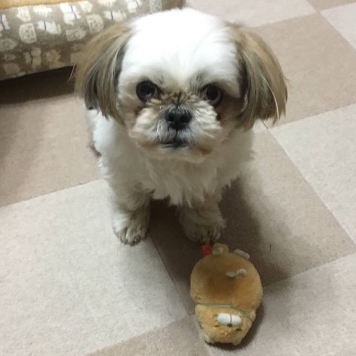 9b3fe875 9c33 4134 a265 04ce5d074cb9 1515150917717