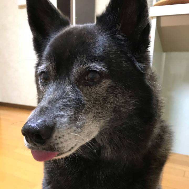 9b3fedbe 885d 4514 b69a b1602f235bd5 1557630297625