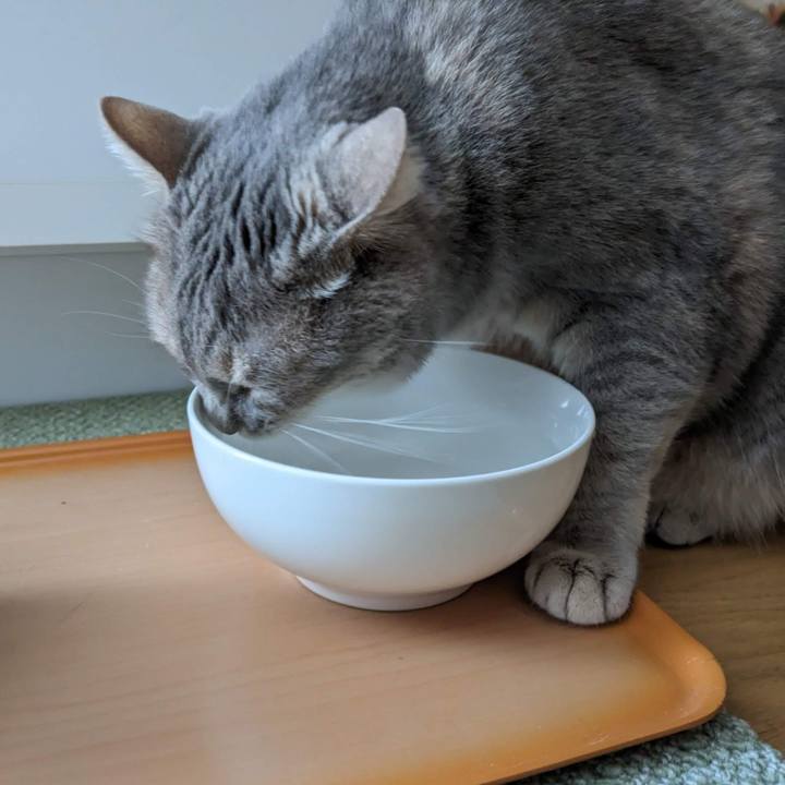 9b3ff0a1 369a 4d79 9792 b25493d3da16 1689911436588