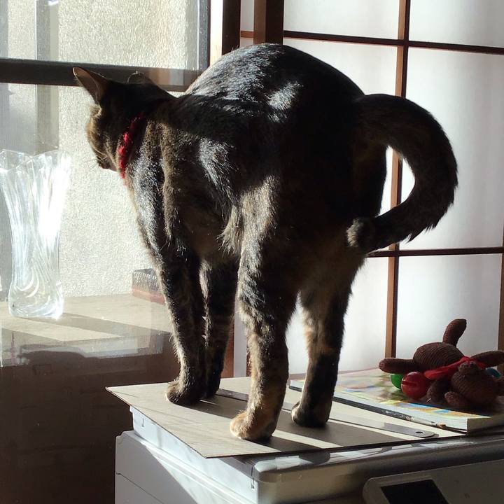 9b404d7f c9dc 4fe5 82c9 87768136cf04 1613727888024