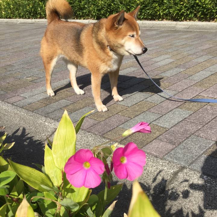 9b40539e da74 4362 bba3 afd45689fba4 1572676887702