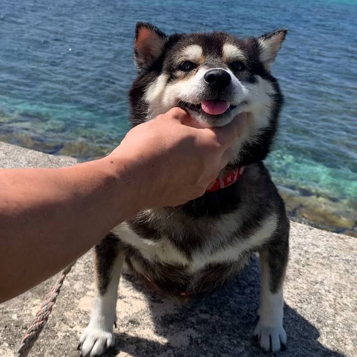 9b407c35 cafa 46bb 9123 77fee74b10c2 1657329394594