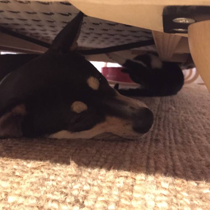 9b409954 2d90 4bb9 b53c 58350cc98ac7 1510672097702