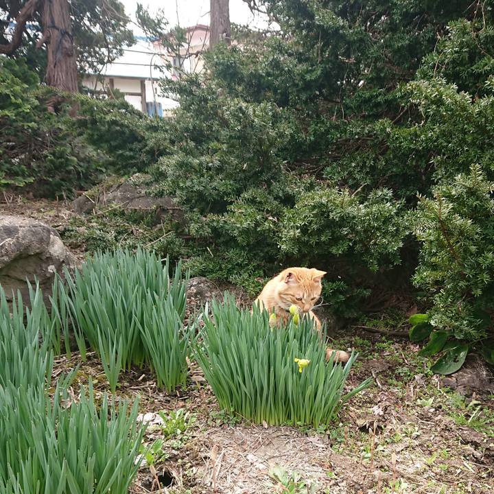 9b40a149 3c08 4abf a79f 345801c8ef81 1650252043741