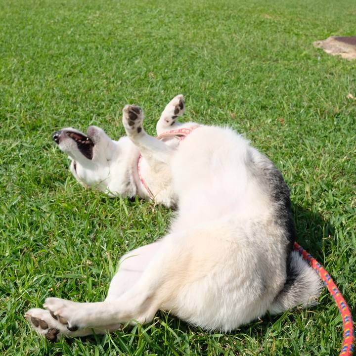 9b40bd3d c229 4019 a533 9489dedb53fa 1547880337064