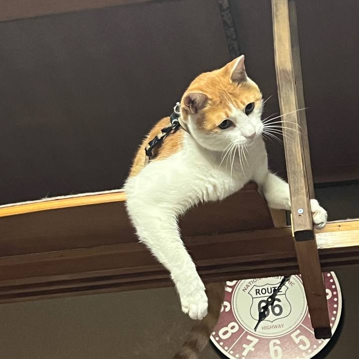 9b40feea c5ea 4276 b7bd 90d1fb2ac255 1768792577500