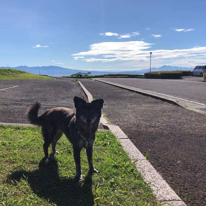 9b41254b 419f 4a2a aee7 921a6573a41d 1691195331952