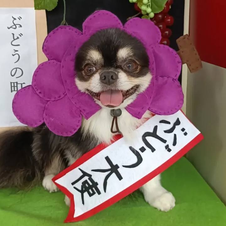 9b41434e d76a 40f2 92c0 fa04a3c84d02 1758852880396