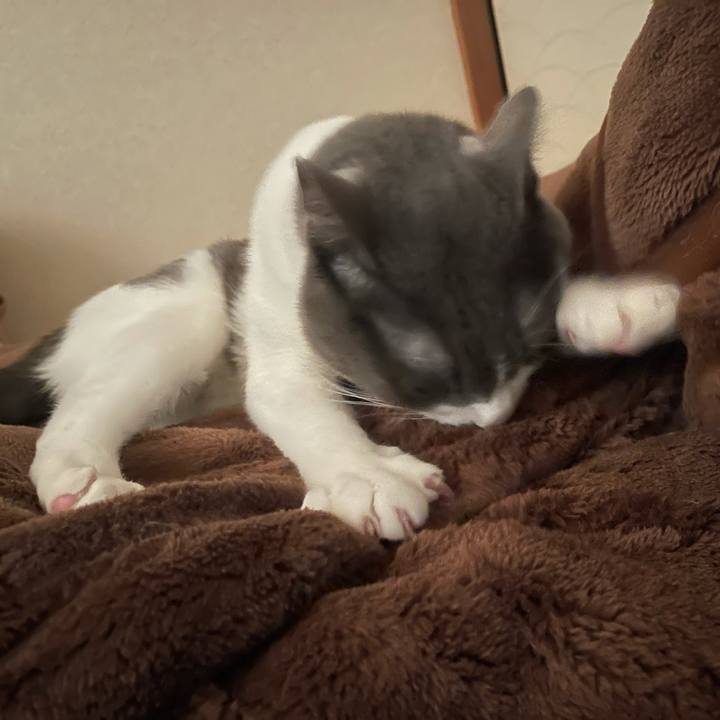 9b415d72 17d3 409e 8775 499122835d79 1635208782656