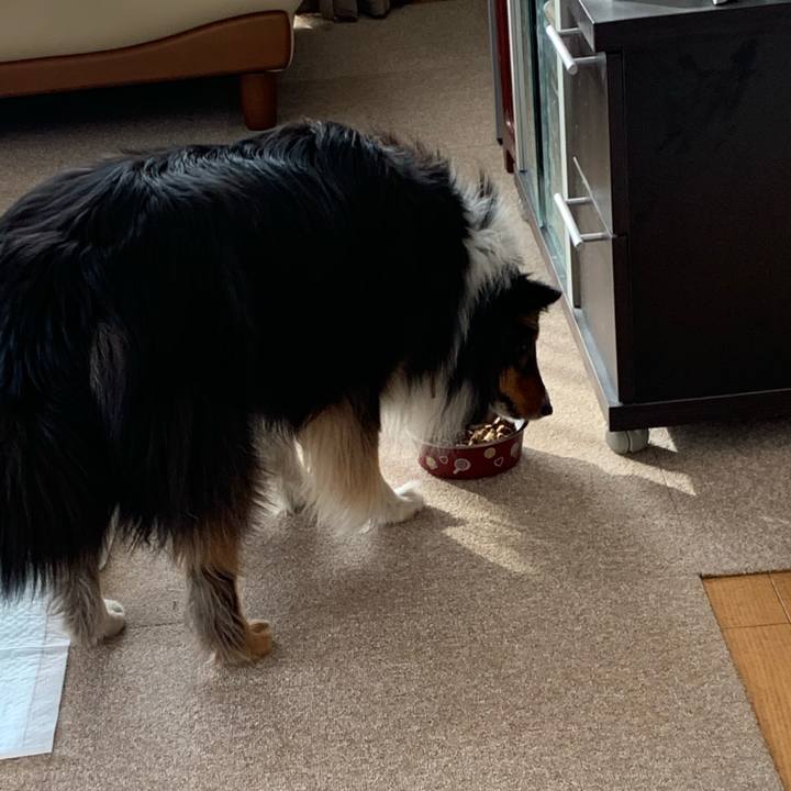 9b41aa2e dd59 41cf b6de 35d90fcc6d48 1557438592790