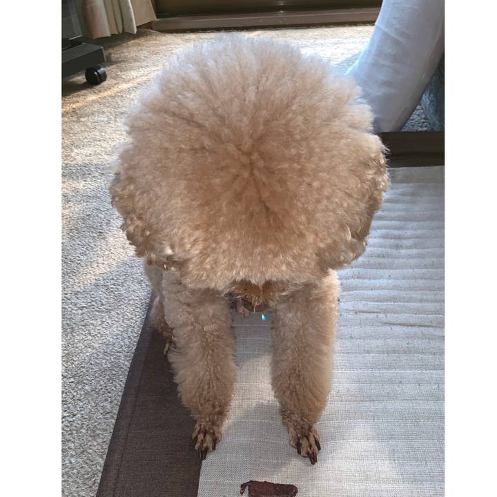 9b41b3f0 c8ba 4755 ba94 4f5ba67dcfec 1551942075755