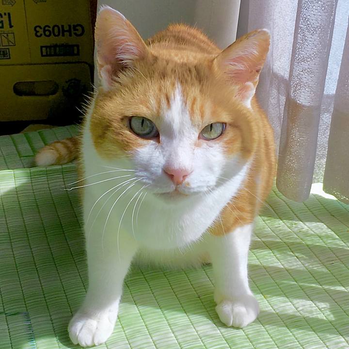 9b41ec06 3e92 4645 8250 16386ca1a585 1587710036894