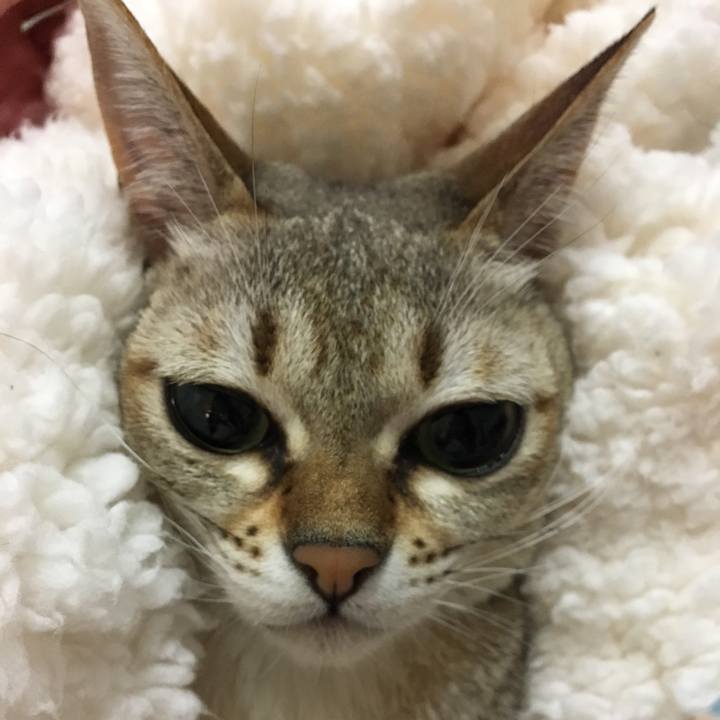 9b421004 844d 4969 b803 12f98881c10b 1512746959400