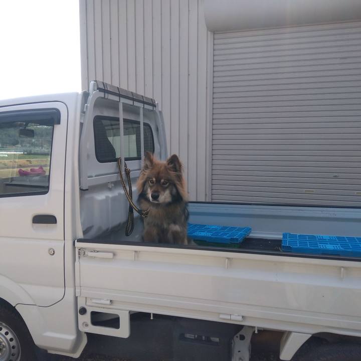 9b422500 80dc 4496 af49 578ca31a0b40 1614837835215