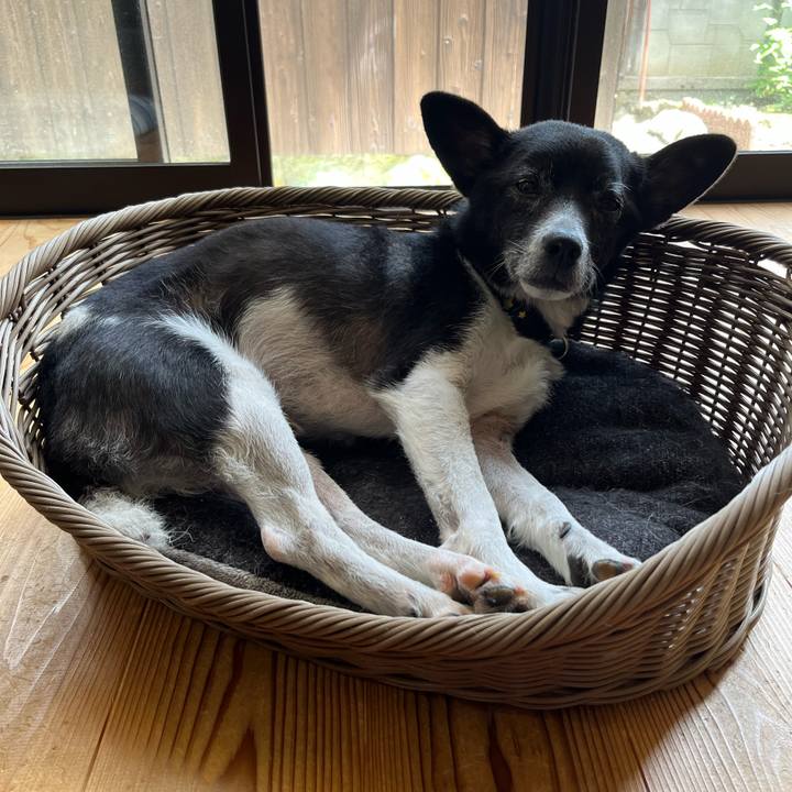 9b422fad 15f3 483d a9ab cb928a8201c4 1688385577939