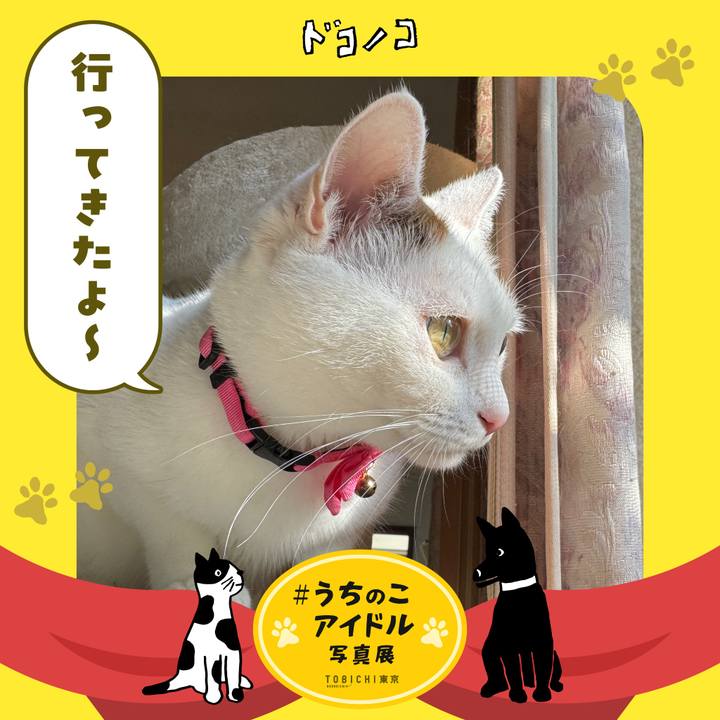 9b424436 b0f6 403a ad4e d11af878b12c 1761690708078