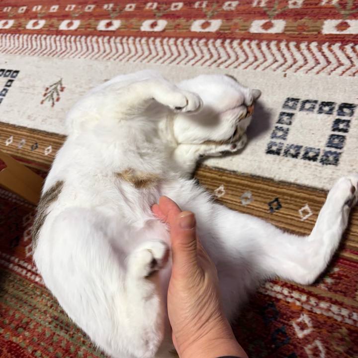 9b4258d7 2aea 4058 999e 0bc16598dcbc 1766737436297