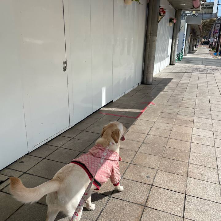 9b42a58a 1f95 4869 a045 2868b7b44ea3 1646204524213