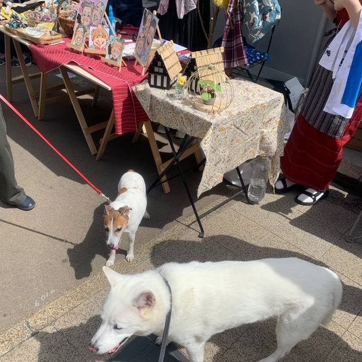 9b42a86e 2053 4006 a2dd 6856130c1f36 1558274784053