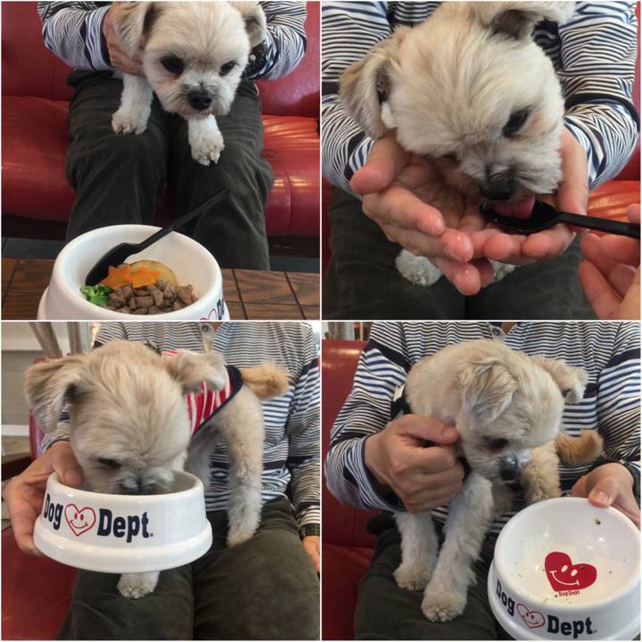 9b42ca31 9ca4 4c43 bd37 2a1135958f62 1523697145137