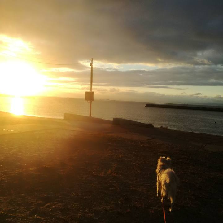 9b42cc19 fcdf 4671 8226 348d8e225e32 1513208732600