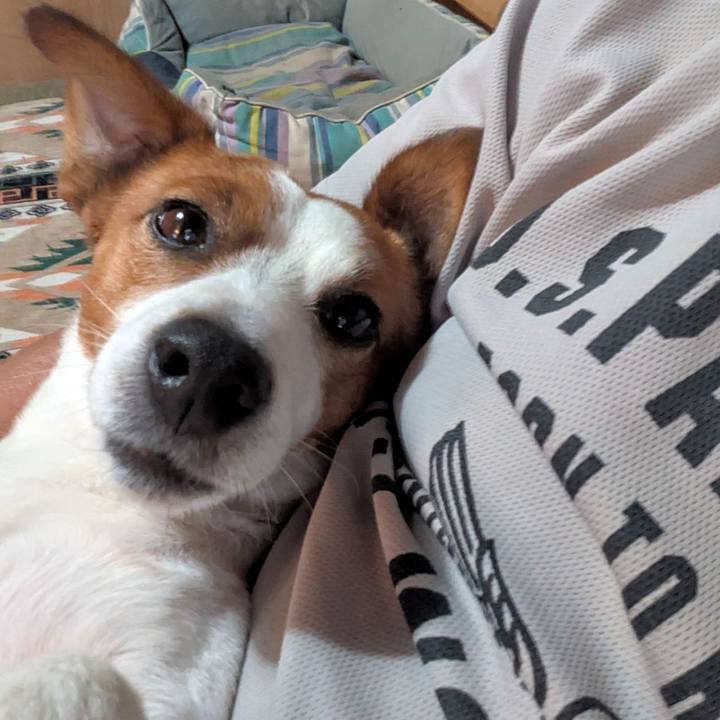 9b4316ab c812 4347 8146 bb61c37c0100 1754874790937