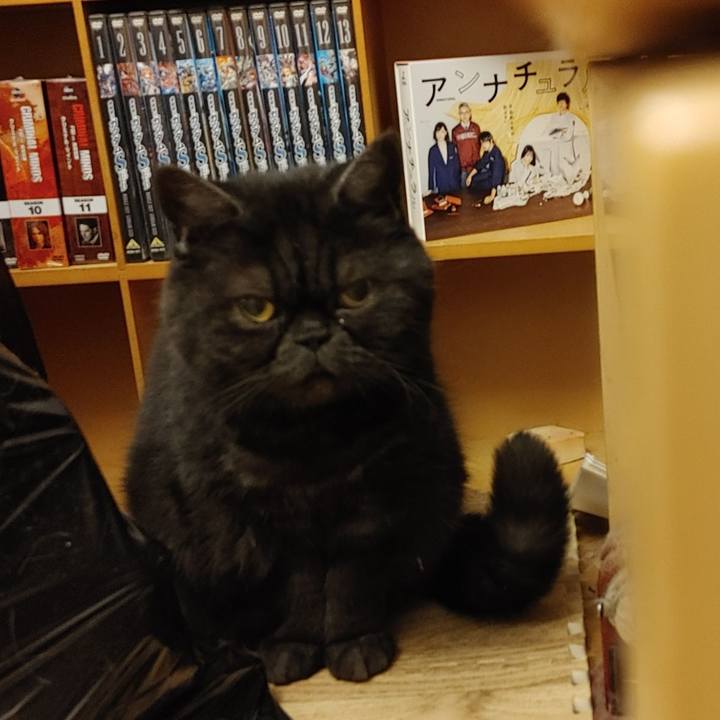 9b4317d6 24aa 428c bd1a 06e4d5b28c39 1622982980366