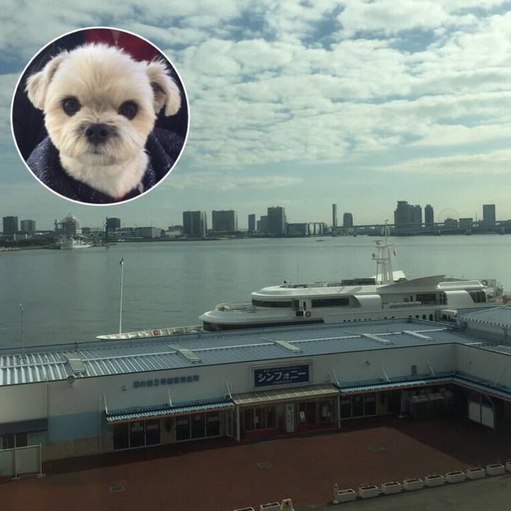 9b43312d 5027 44c2 8c4f bdb864d7da24 1512214981696