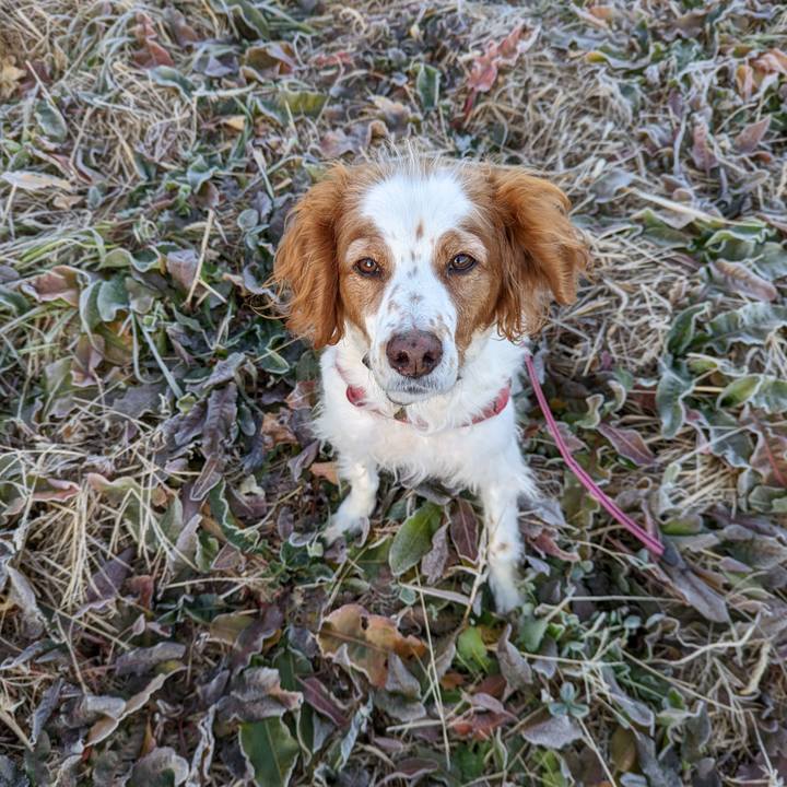 9b433751 34c0 4204 8cb1 f69f896a6748 1641728370229