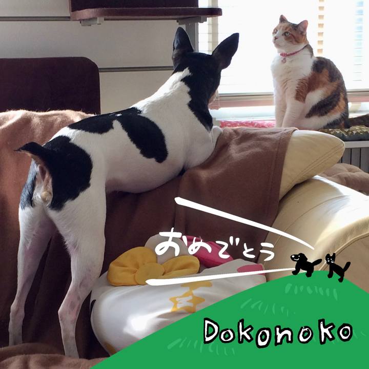 9b4343f9 f9bc 4093 b077 e4b84d9d9cd0 1686003703490